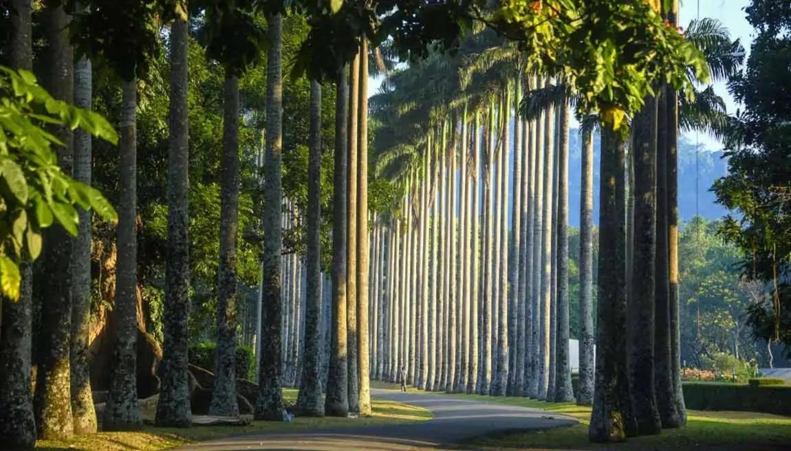 Serene Home Kandy Esterno foto